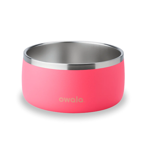 Pet Bowl 24/48oz Stainless Steel - Hyper Flamingo