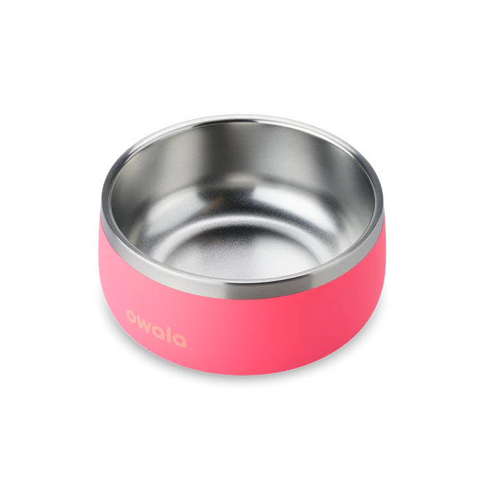 Pet Bowl 24/48oz Stainless Steel - Hyper Flamingo