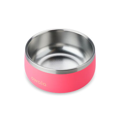 Pet Bowl 24/48oz Stainless Steel - Hyper Flamingo