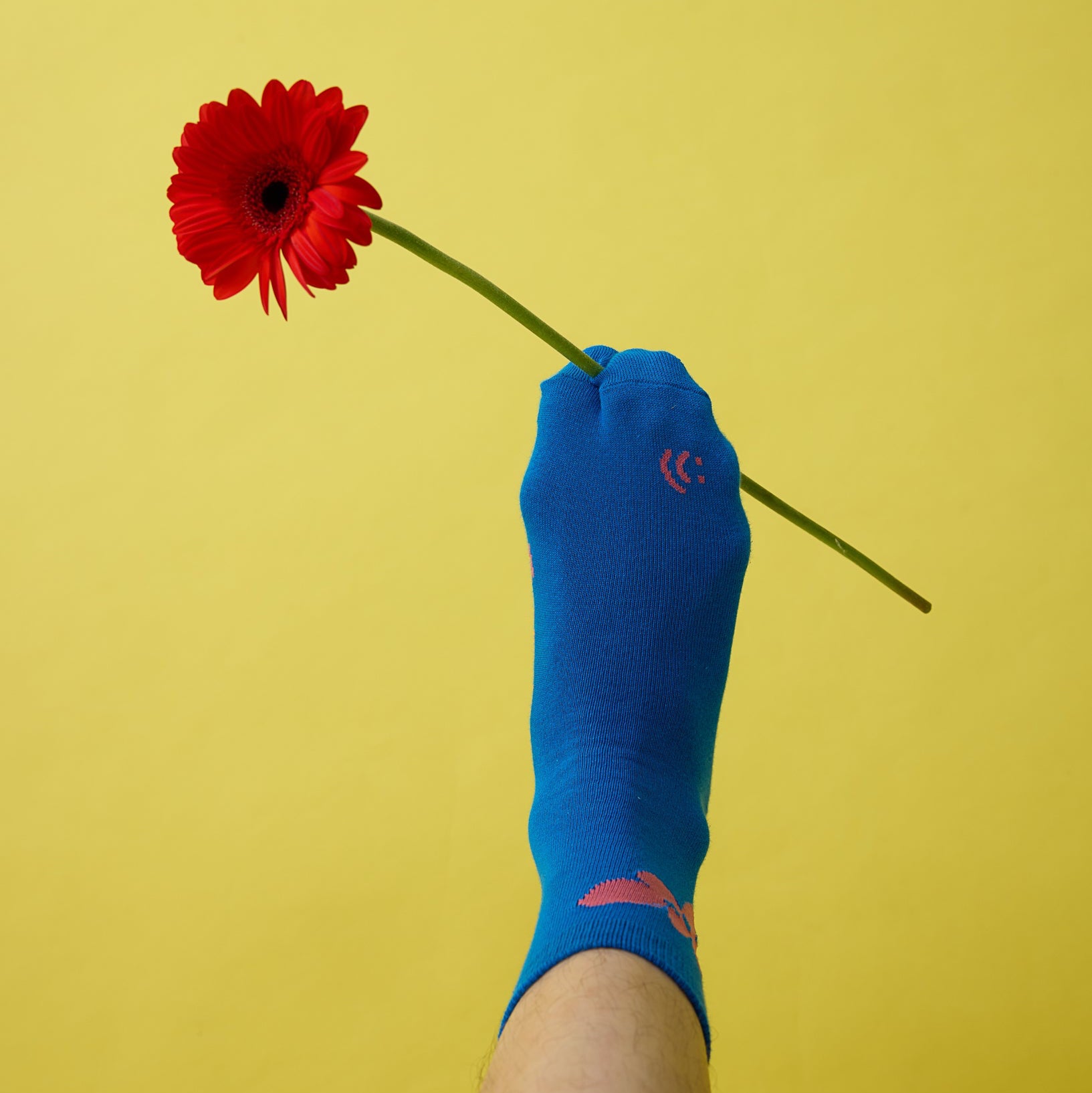 ToSmile - Socks (Blue)