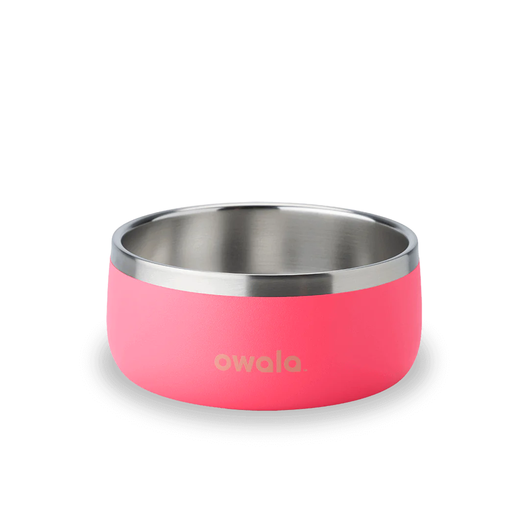 Pet Bowl 24/48oz Stainless Steel - Hyper Flamingo