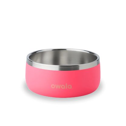 Pet Bowl 24/48oz Stainless Steel - Hyper Flamingo