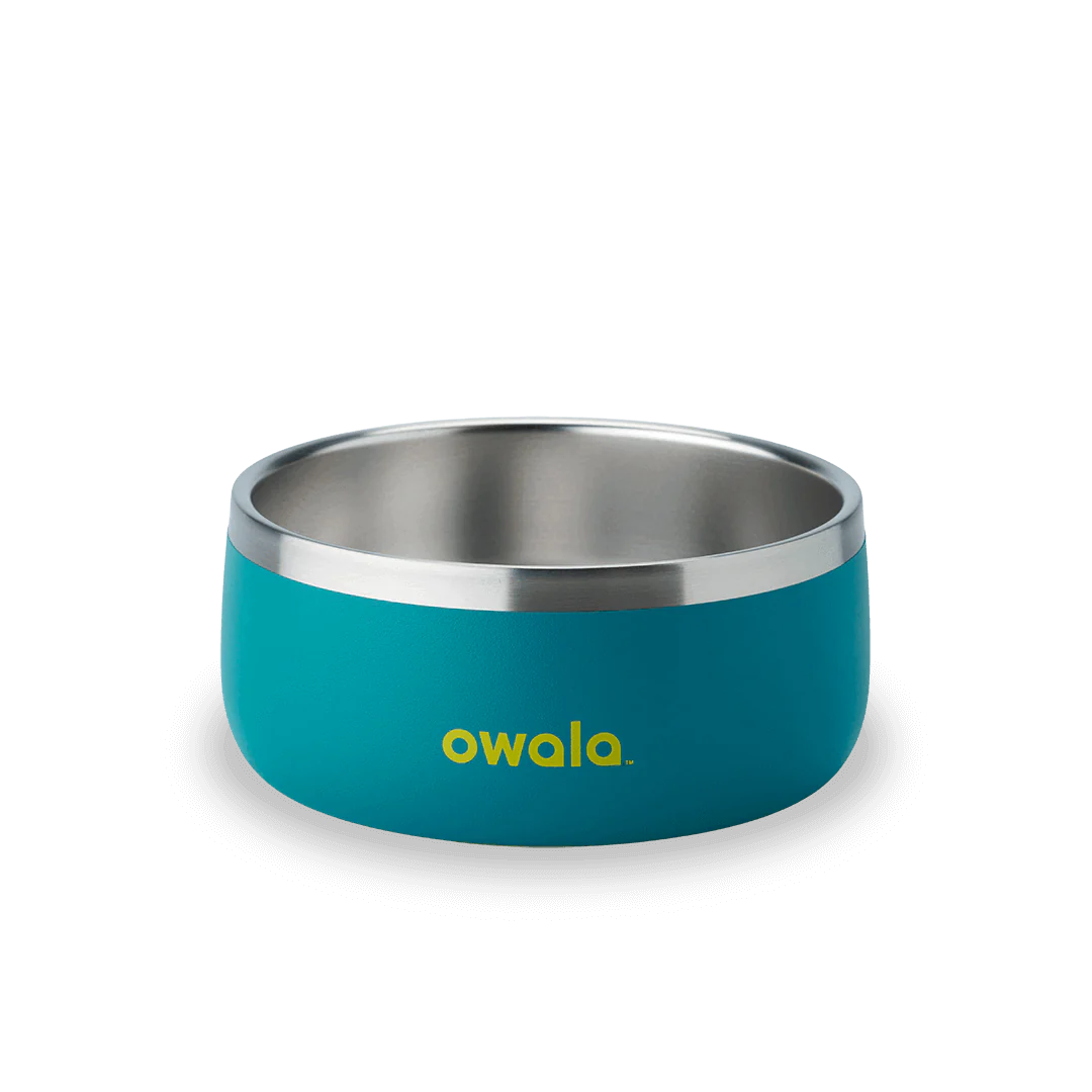 Pet Bowl 24/48oz Stainless Steel - Turquoise & Caicos