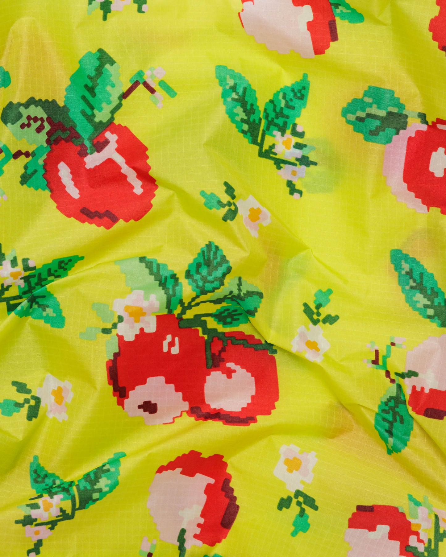 Standard Baggu (Needlepoint Apple)