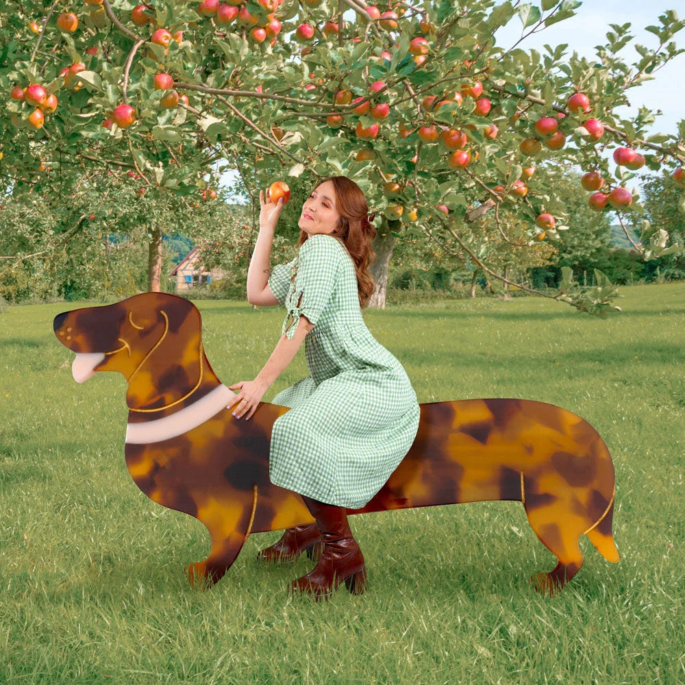 Coucou Suzette French Barrette (Dachshund)