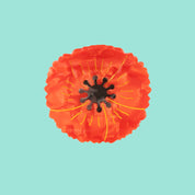 Hair Claw (Poppy)