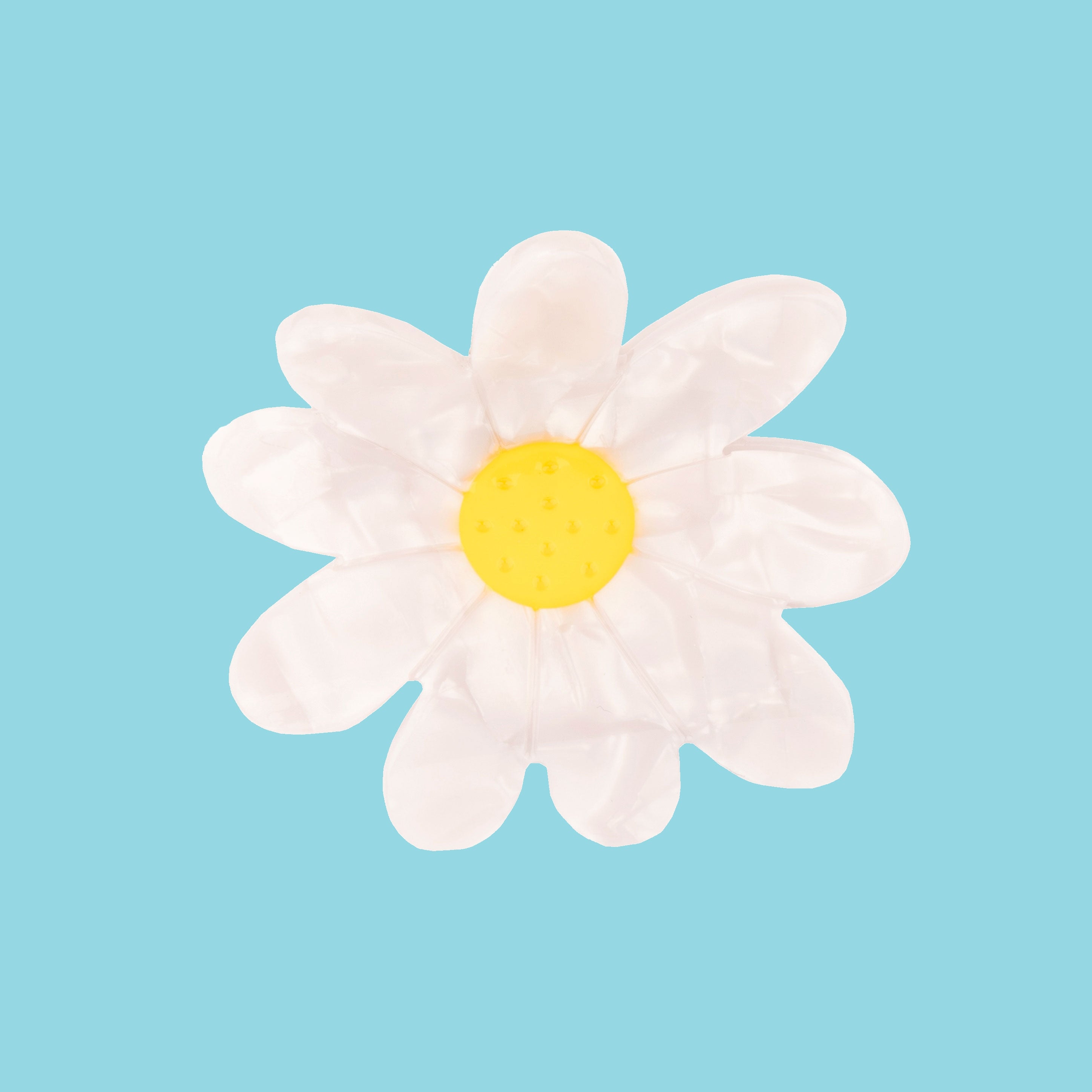 4312.jpg