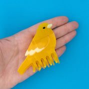 Hair Claw (Canary)
