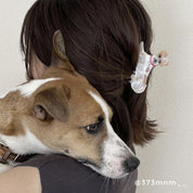Hair Claw (Jack Russel)