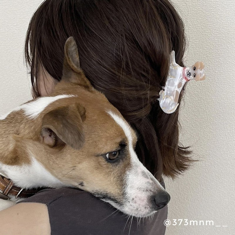 Hair Claw (Jack Russel)
