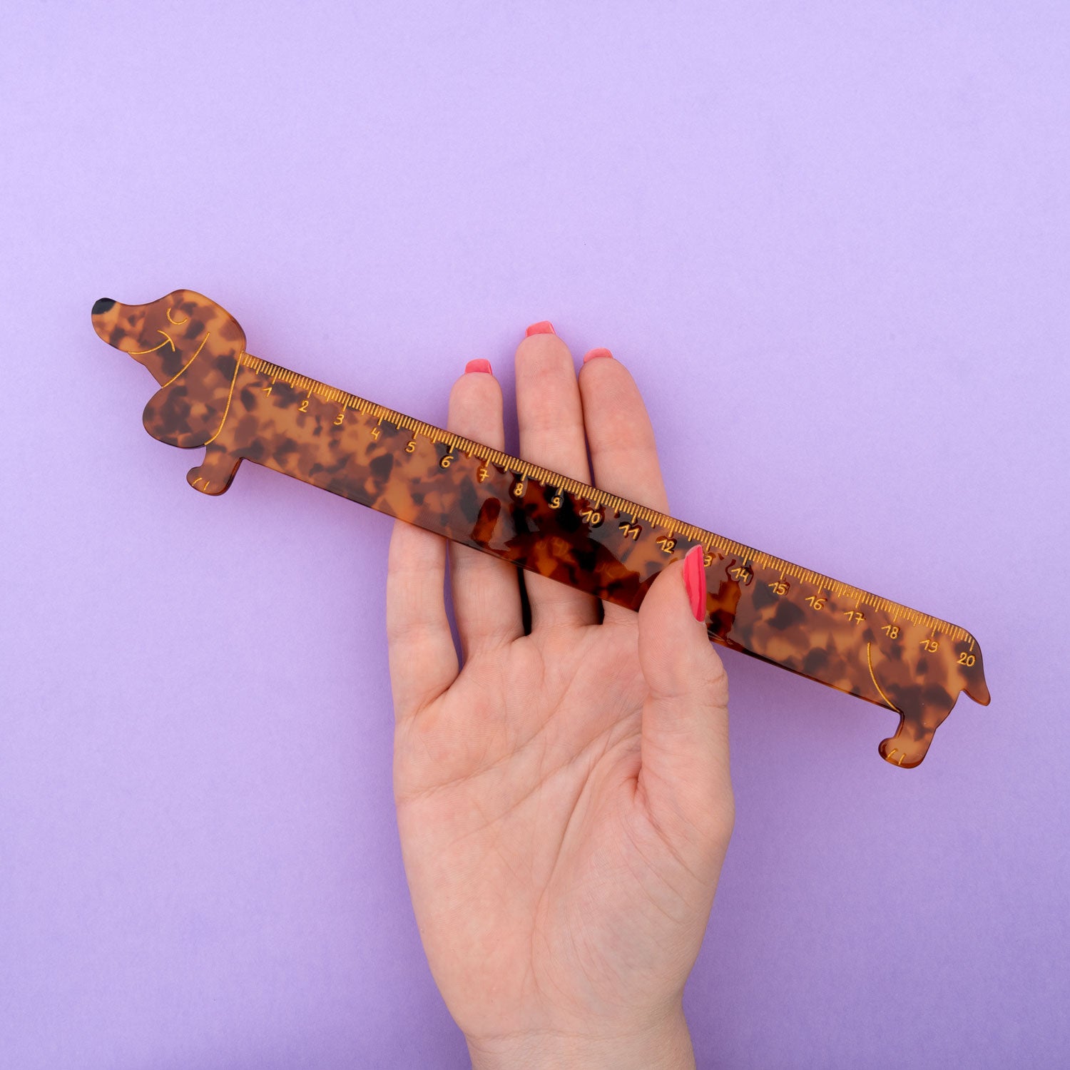 Ruler (Dachshund)