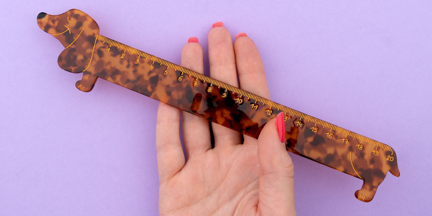 coucou-suzette-dachshund-ruler-fun-school-stationery-cute-acetate-stationery-accessory-sausage-dog-item-regle-chien-teckel-accessoire-bureau-papeterie-2-web.jpg