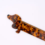 Ruler (Dachshund)